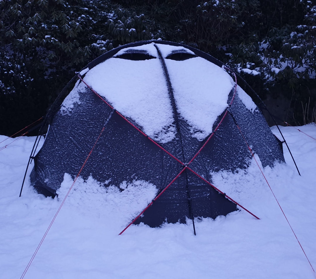 Snølast