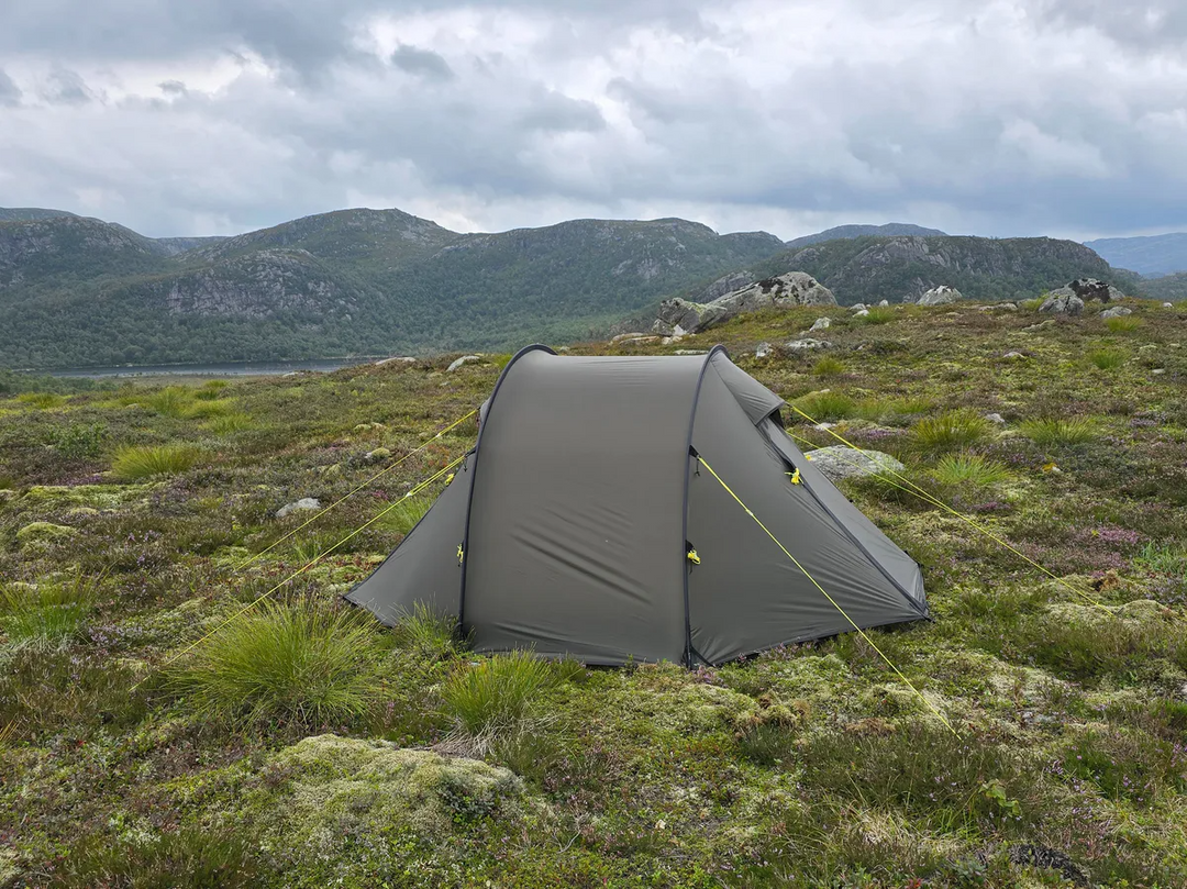 NORTENT Ly 1