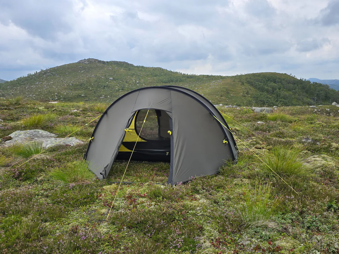 NORTENT Ly 1