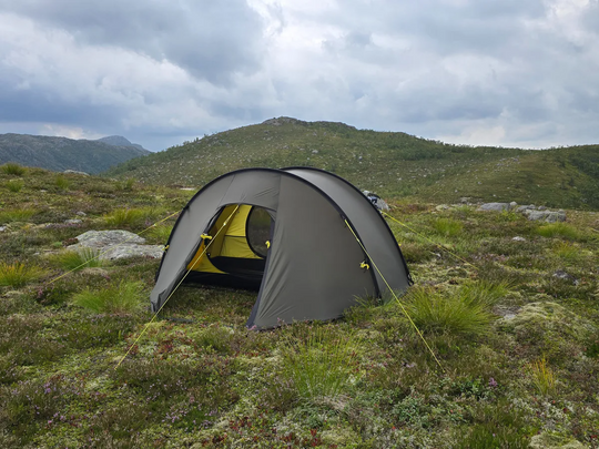 NORTENT Ly 1