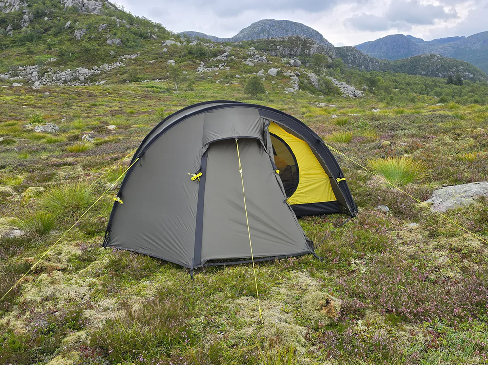 NORTENT Ly 1