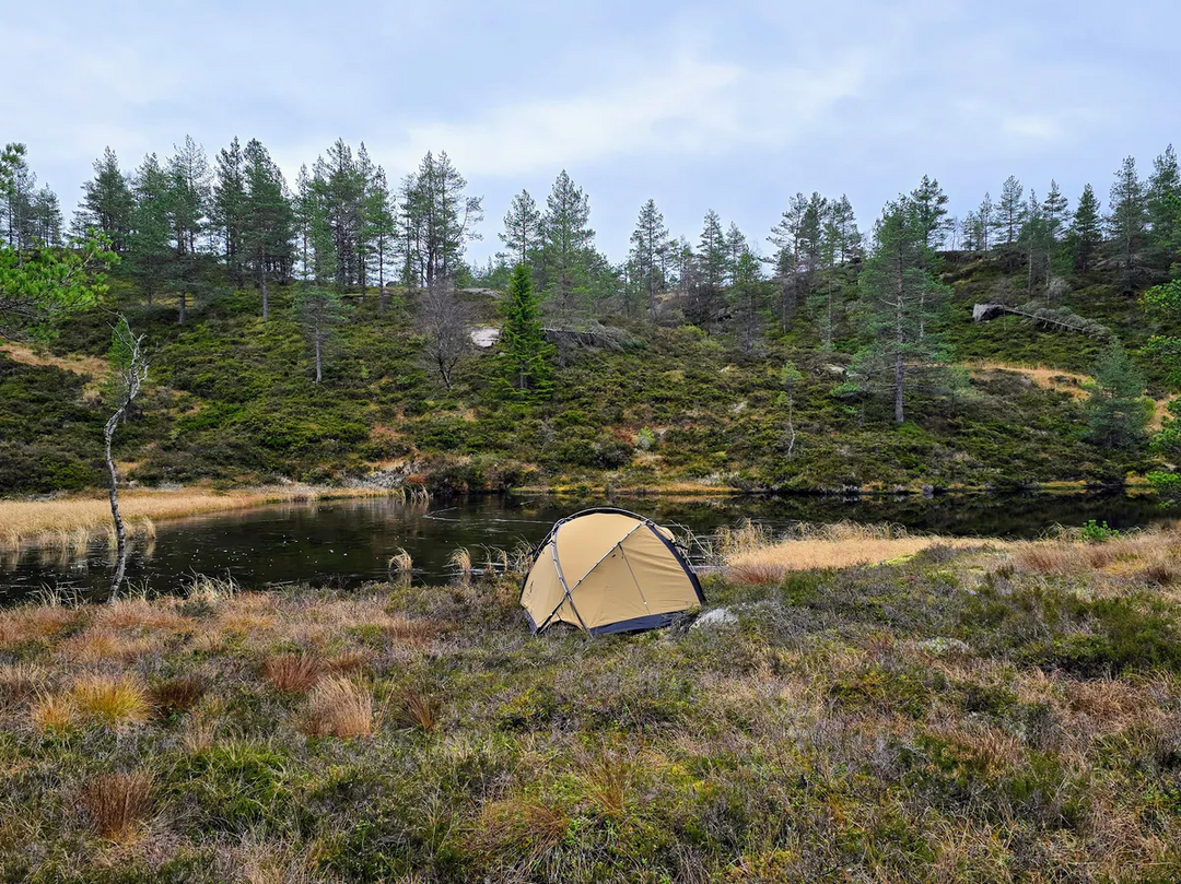 NORTENT Vern 1 PC