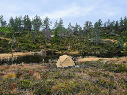 NORTENT Vern 1 PC