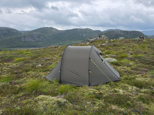 NORTENT Ly 1