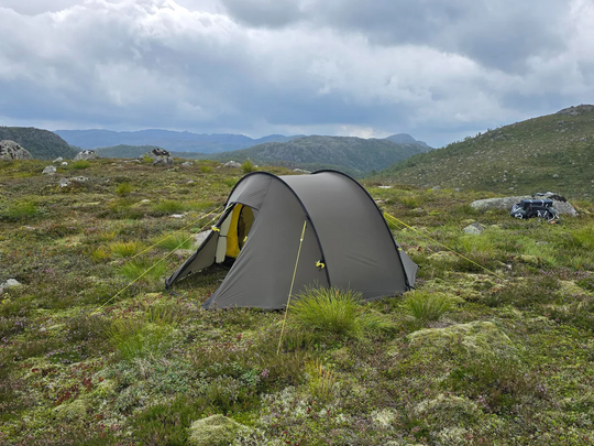NORTENT Ly 1