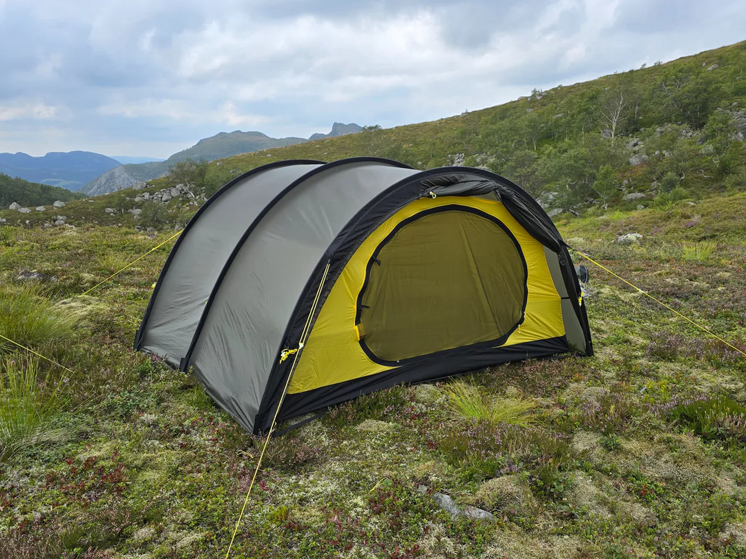 NORTENT Ly 2