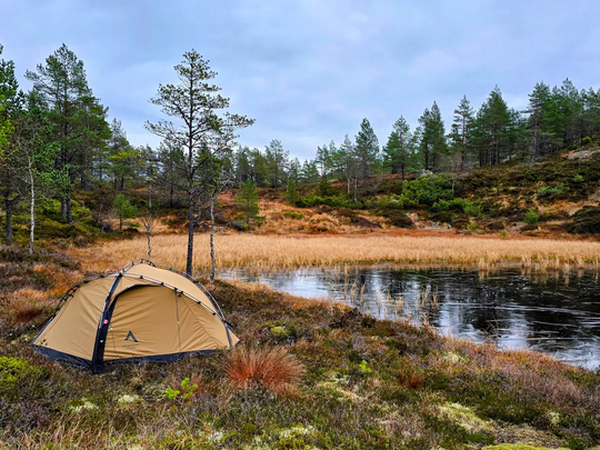 NORTENT Vern 1 PC