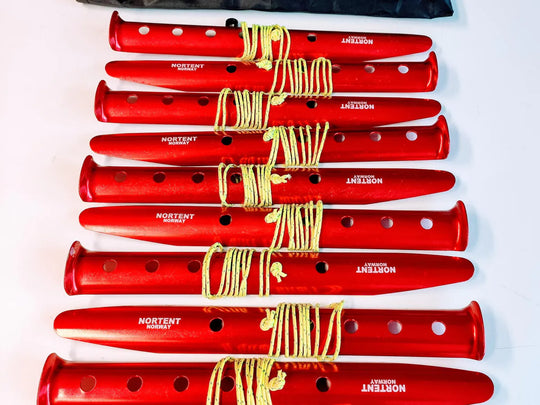 NORTENT snow and sand stakes